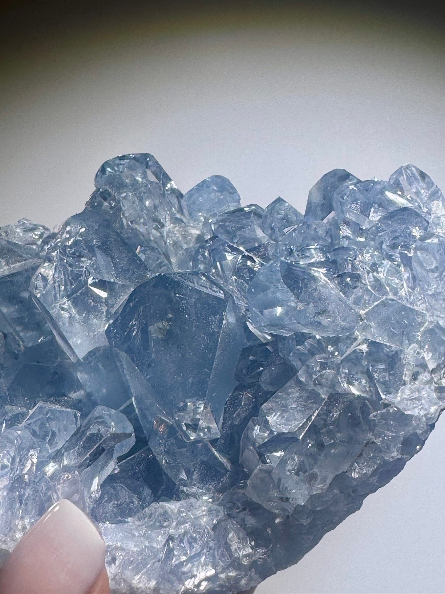 Celestin Stufe aus Madagaskar 💎 Klar & funkelnd ✨ Museumsqualität 10.2cm