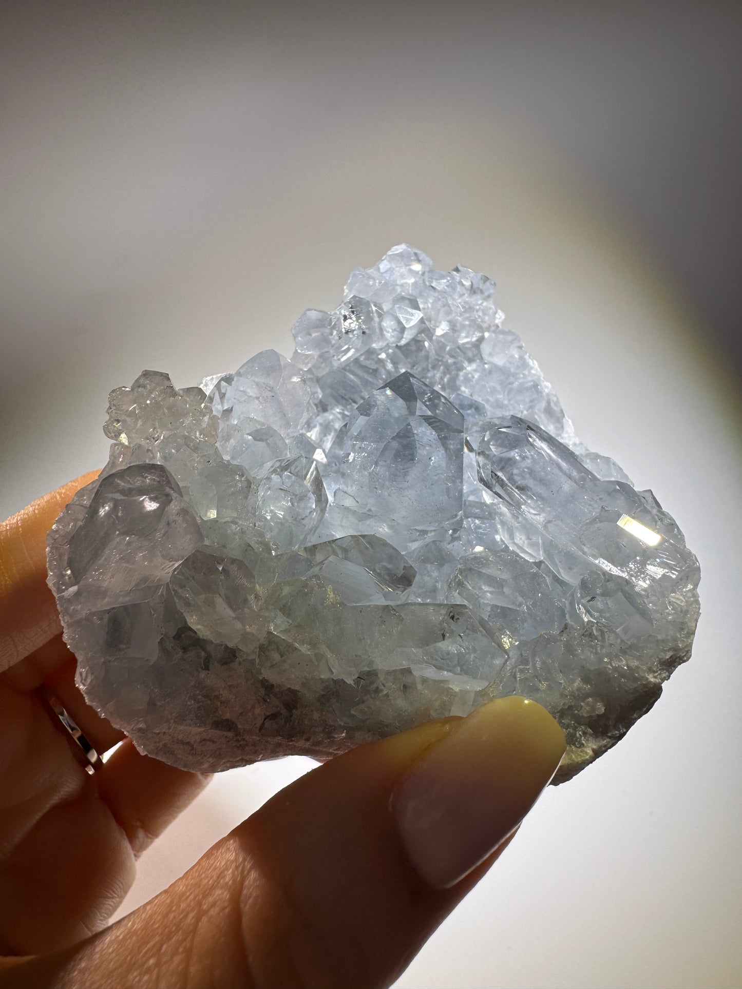 Celestin Stufe aus Madagaskar 💎 Klar & funkelnd ✨ Museumsqualität 7.7 cm