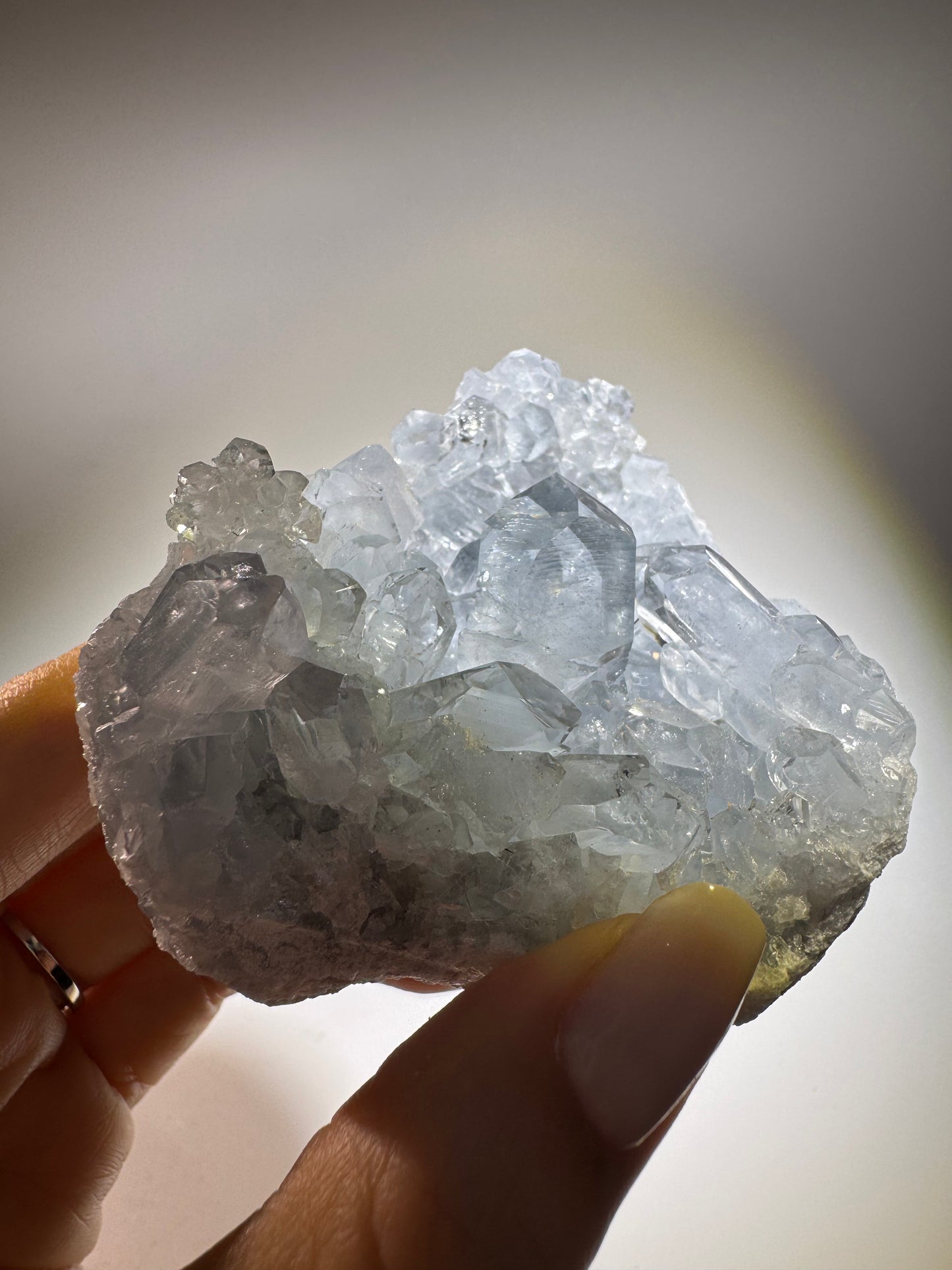 Celestin Stufe aus Madagaskar 💎 Klar & funkelnd ✨ Museumsqualität 7.7 cm