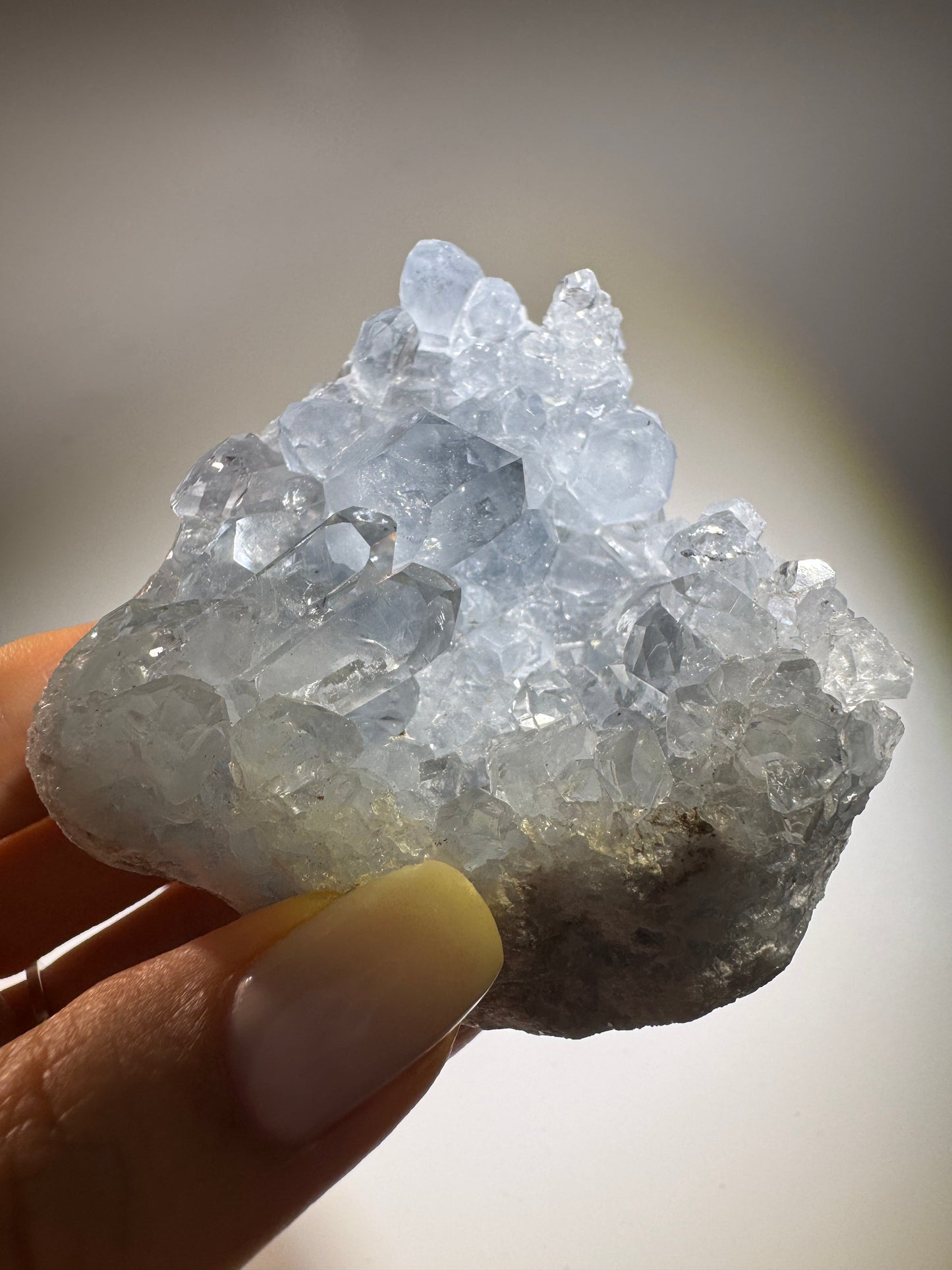 Celestin Stufe aus Madagaskar 💎 Klar & funkelnd ✨ Museumsqualität 7.7 cm
