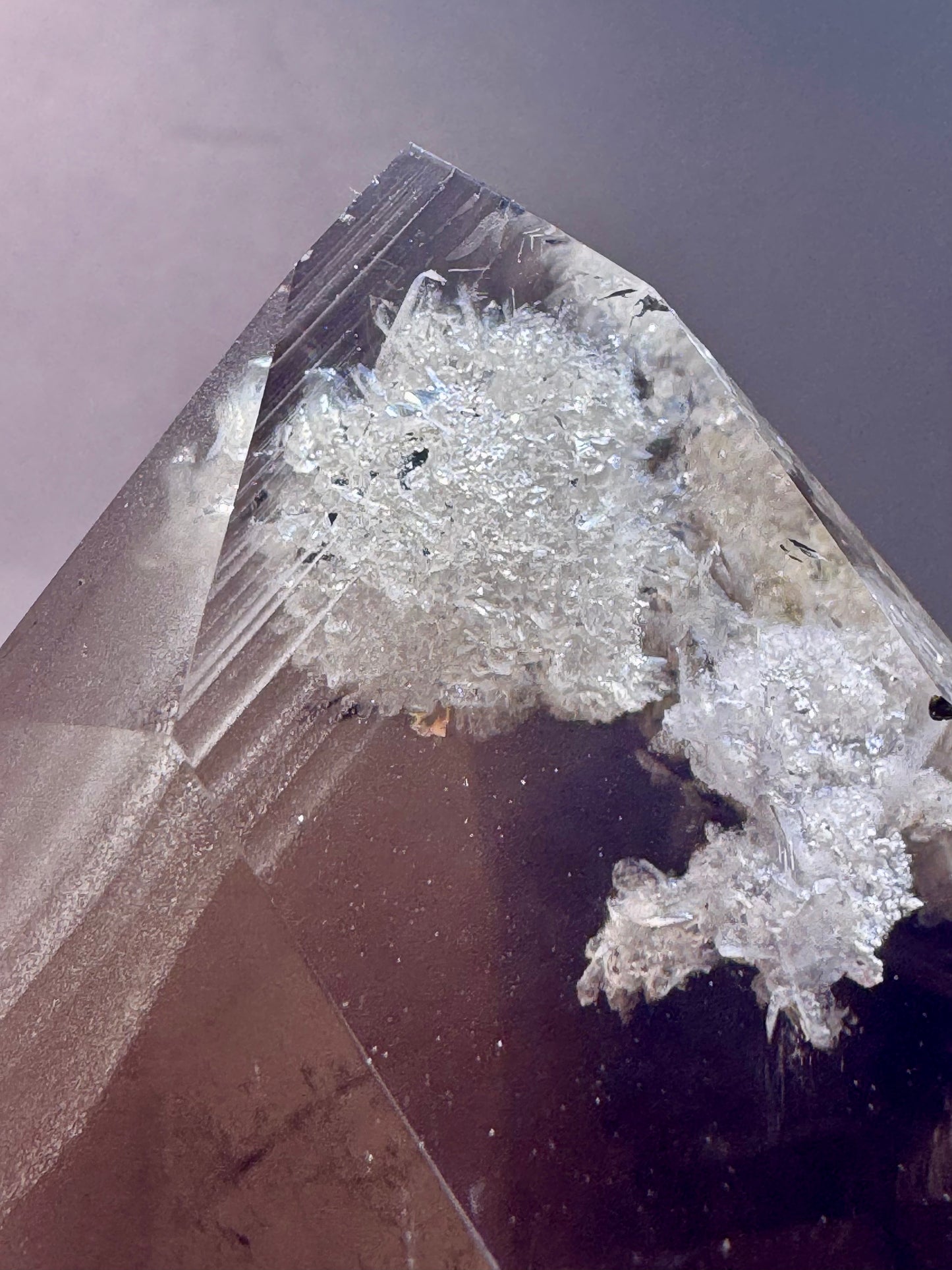 Rauchquarzspitze mit Phantomen & Chlorit – 11,5 cm | Mikroquarze & kleine Kristalle aus Brasilien in Museumsqualität