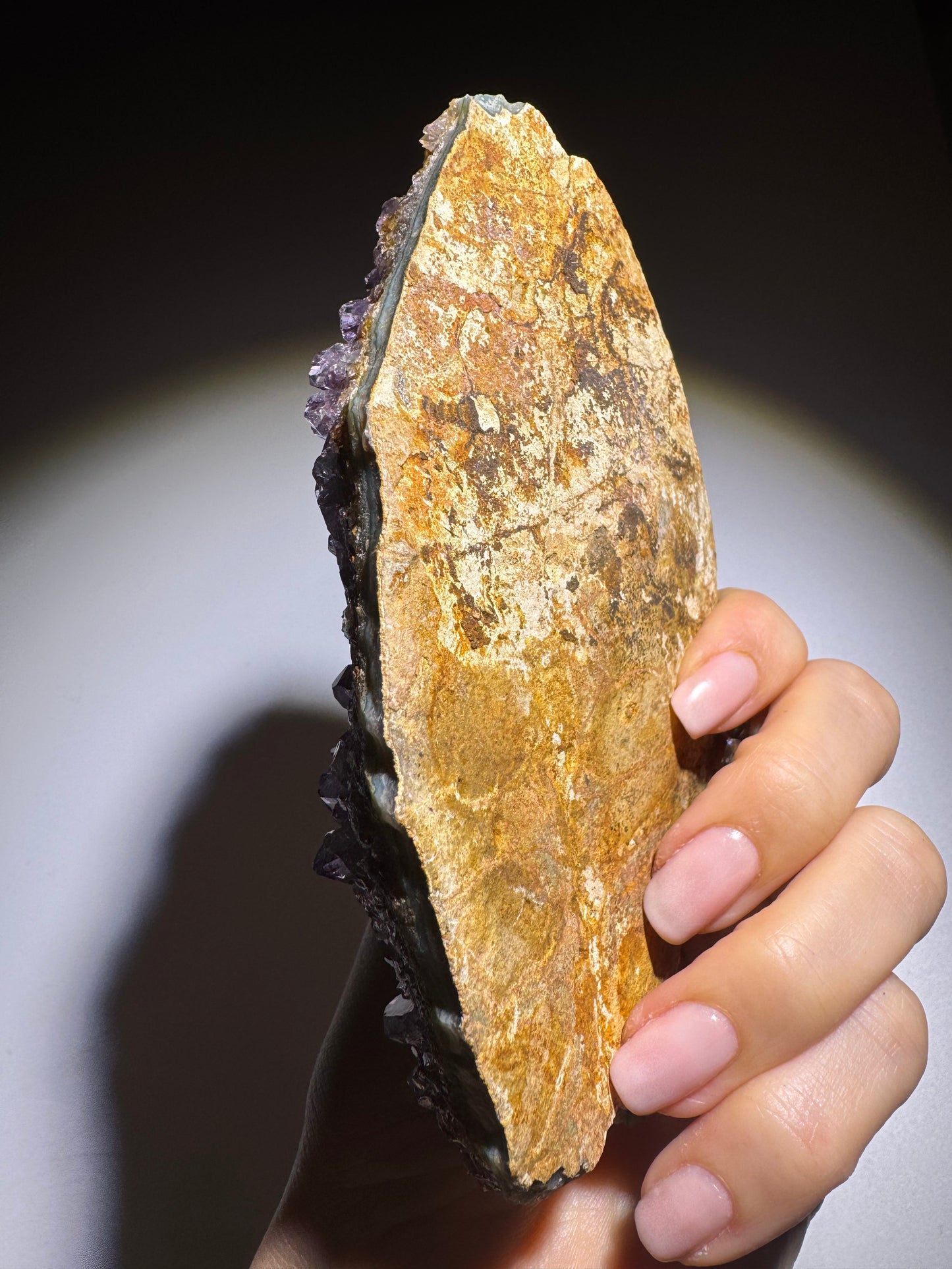 Edle Amethyst Druse 13 x 9 cm – 275 g mit satter Farbintensität