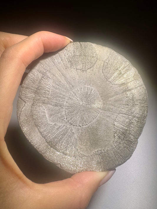 Pyritsonne 9 cm 159 g | Rundes Sammlerstück aus Illinois