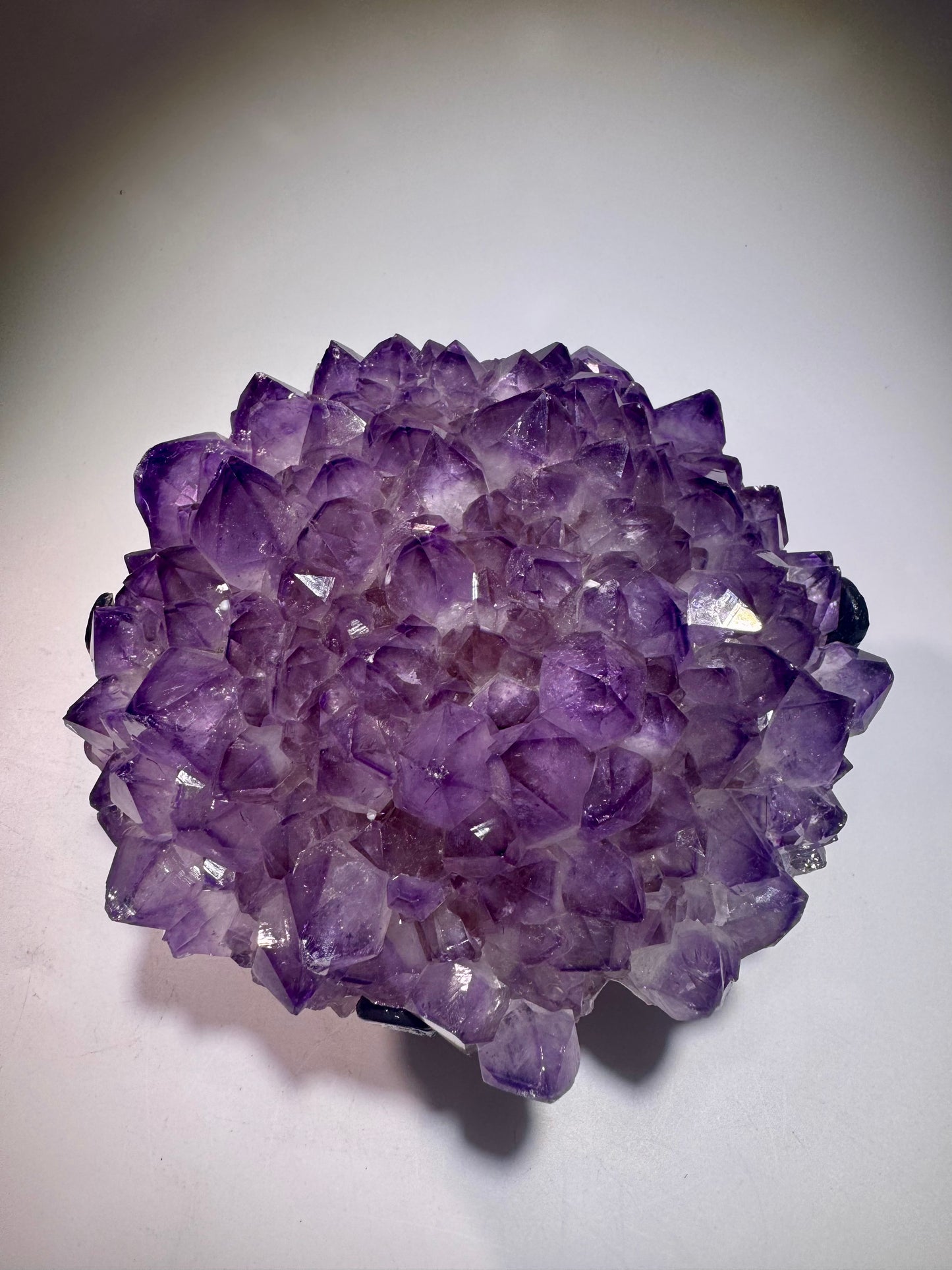 Exklusive Amethyst Blüte/Blume 14.5cm – 1.42kg | Perfekte Spitzen mit Phantomen | Stalaktit Unikat aus Uruguay