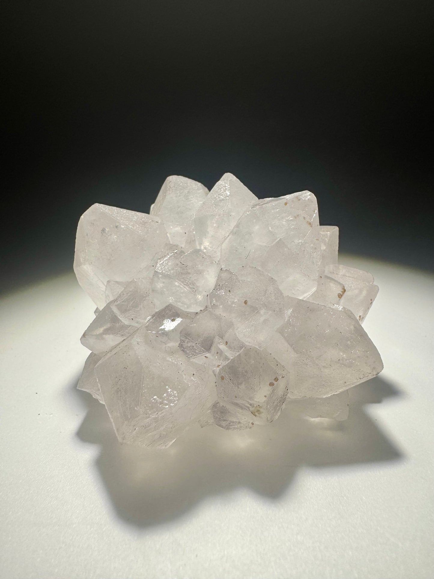 Exklusive Quarzblüte 7.3cm – Stalaktit Unikat aus Uruguay | Weiss & Transparent | Edelstein Raritä