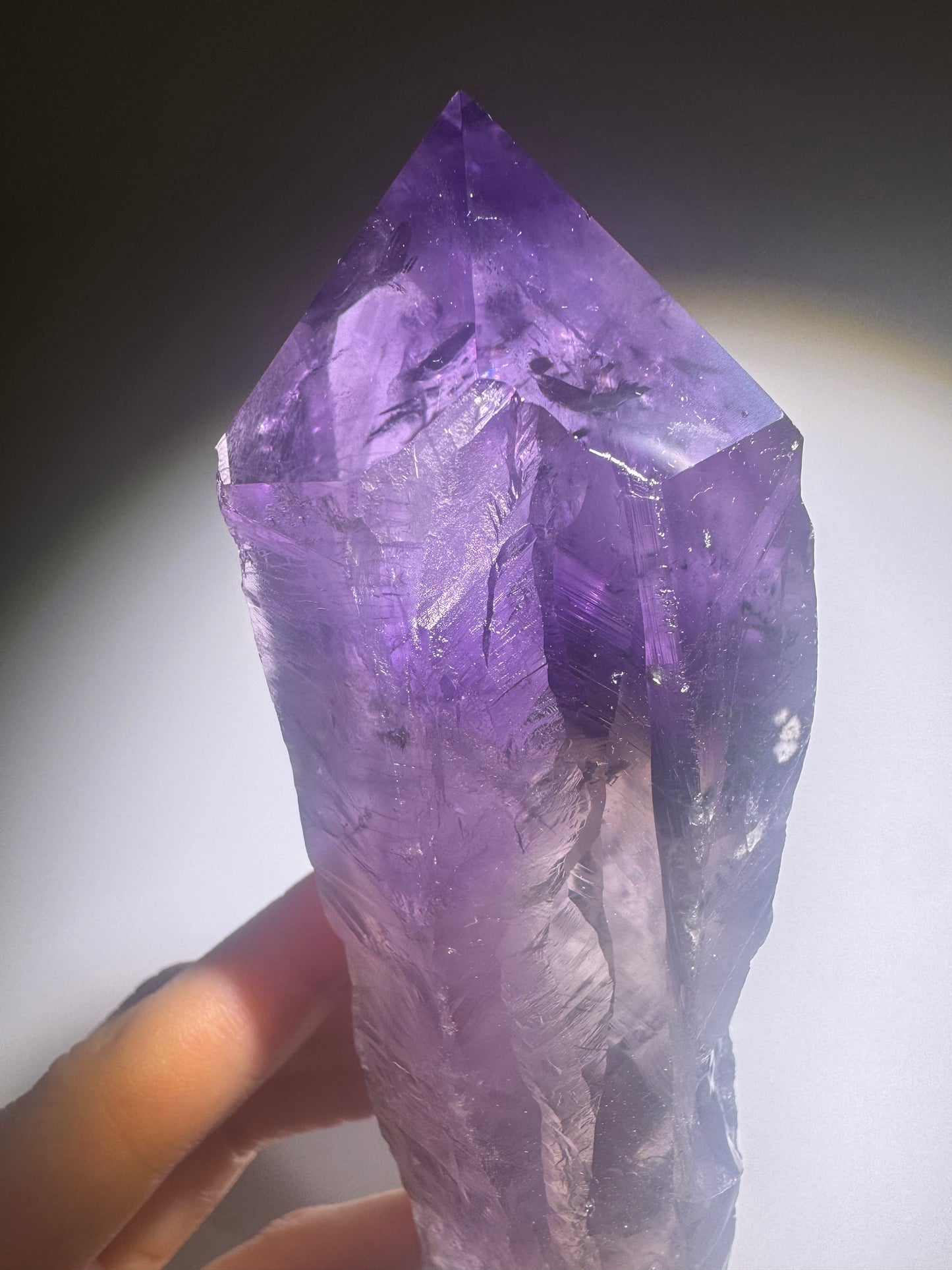 Ametrin-Zahn mit Citrin & Hollandit – 22 cm Naturspitze aus Brasilien | seltene Amethyst-Zahnspitze mit Phantomlinien