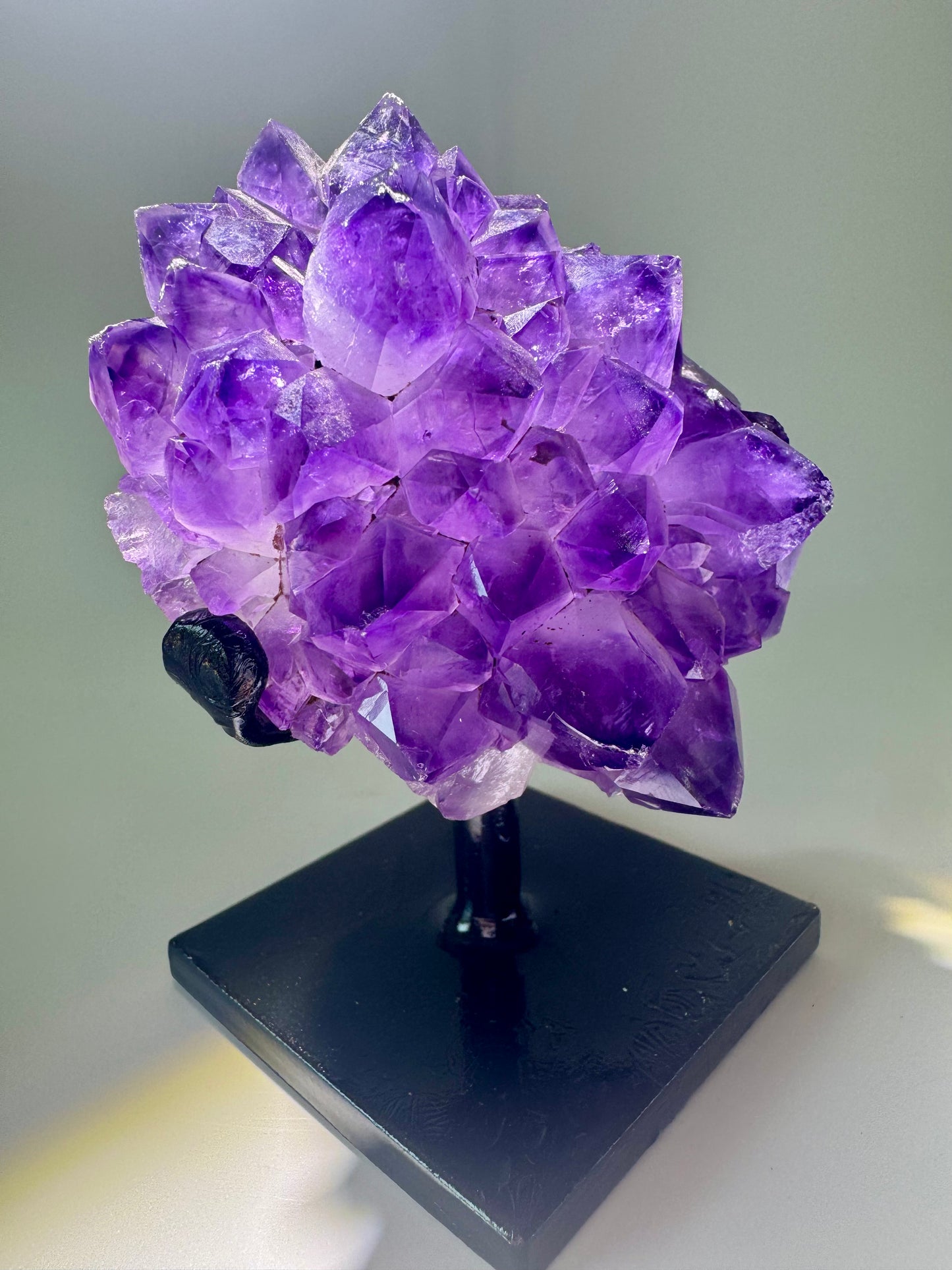 Amethystblüte 10 cm – Kristallblume mit perfekten Spitzen aus Uruguay | Extra-Qualität