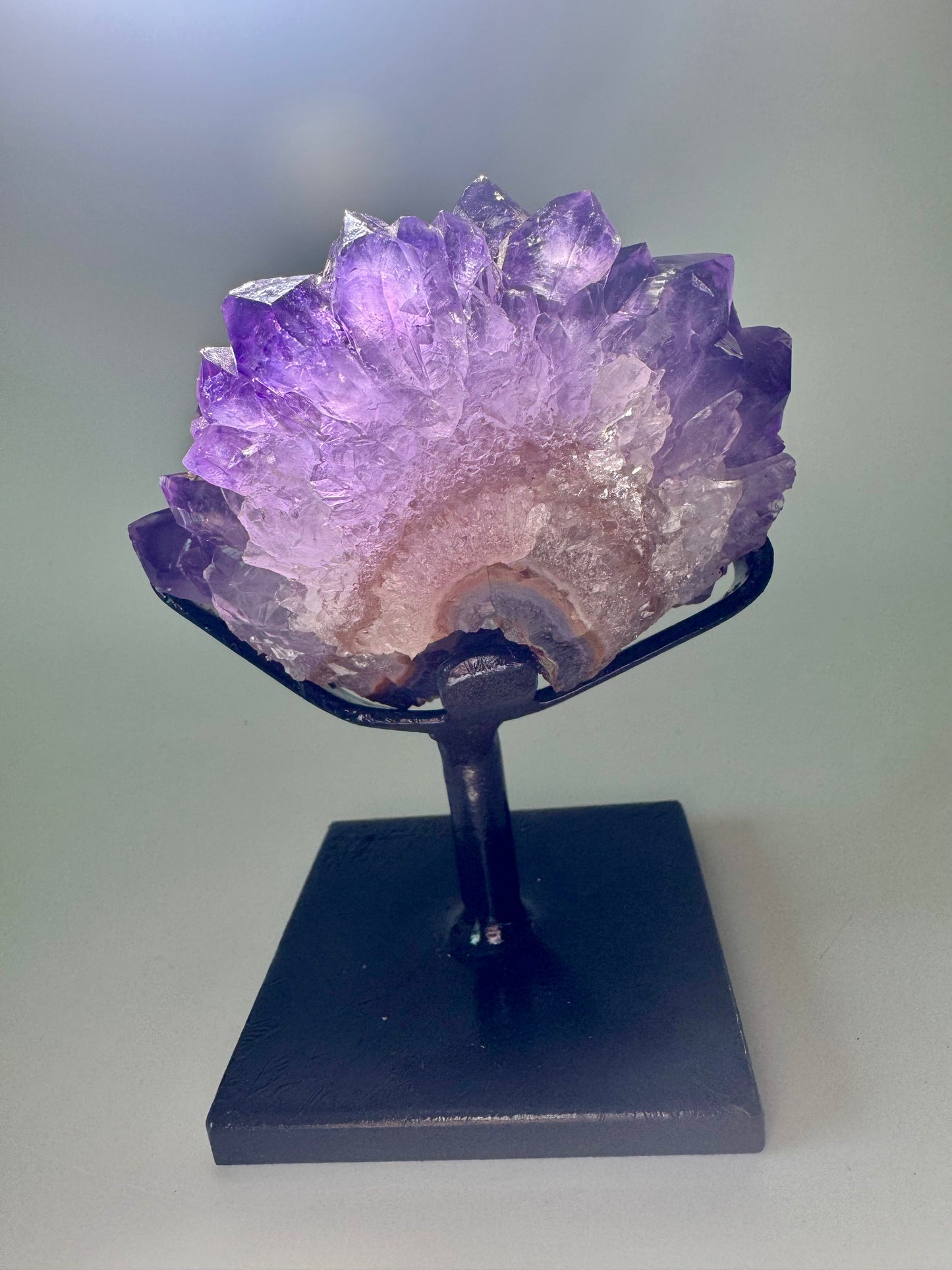Amethystblüte 10 cm – Kristallblume mit perfekten Spitzen aus Uruguay | Extra-Qualität