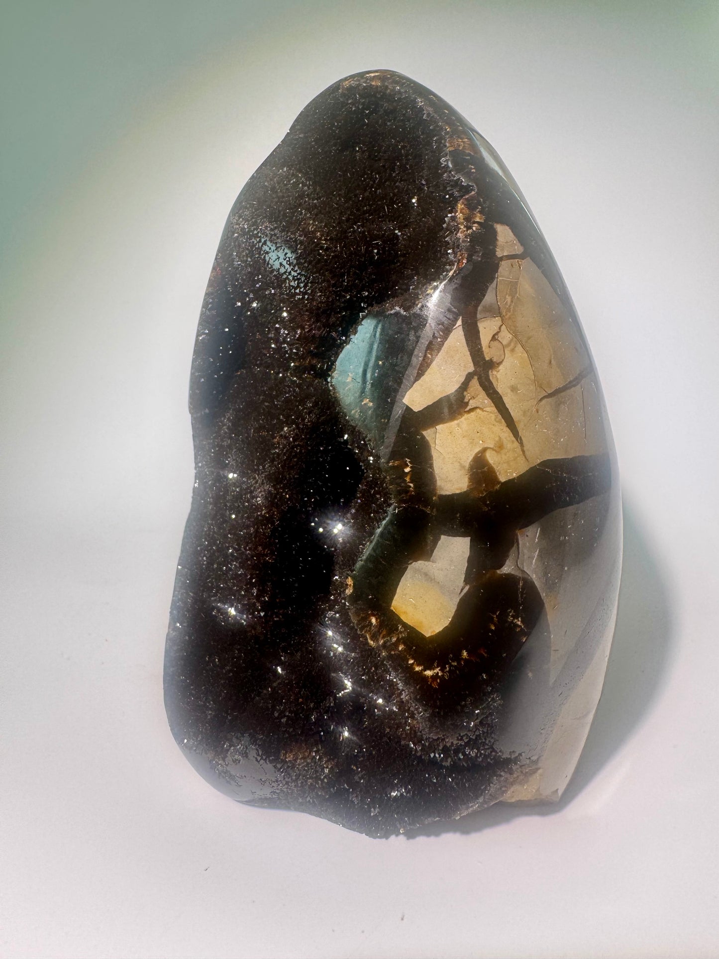 Septarien Drachenstein 12.3cm – Funkelnde Formation aus Madagaskar 🐉 Naturkristall mit Calcit & Aragonit