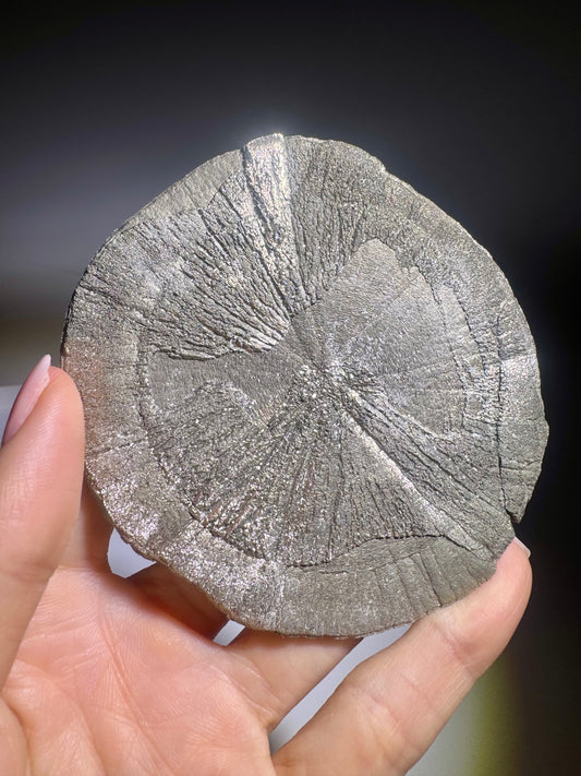 Sole di pirite 8,5 cm 120 g | Minerale naturale Sun USA