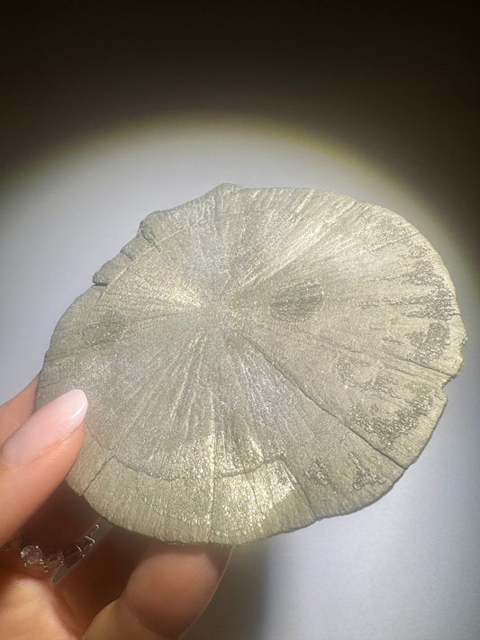 Runde Pyritsonne mit strahlender Kristallstruktur 9 cm Sammlerstück