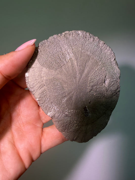 Seltene Pyritsonne (ca. 8,8 cm) – Einzigartige Kristallformation aus den USA