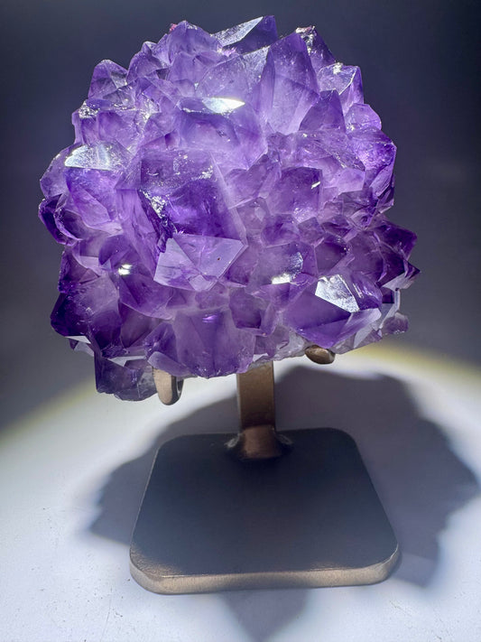 Strahlende Amethystblüte aus Uruguay mit intensiven violetten Spitzen