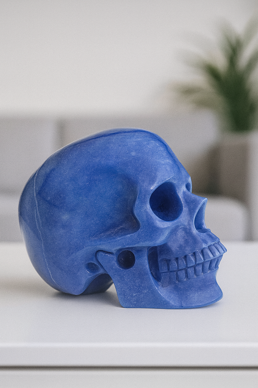 Super realistic skull 12cm - 1475g 