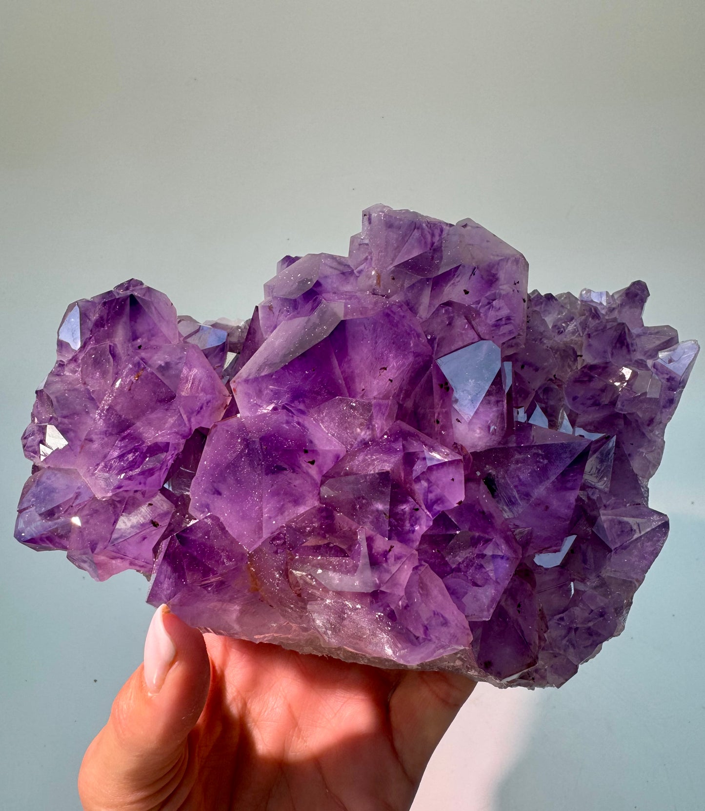 Amethyst Kristall Cluster Druse 1.6 kg AAA Qualität intensiv violett Edelstein Heilstein Natur 15 cm