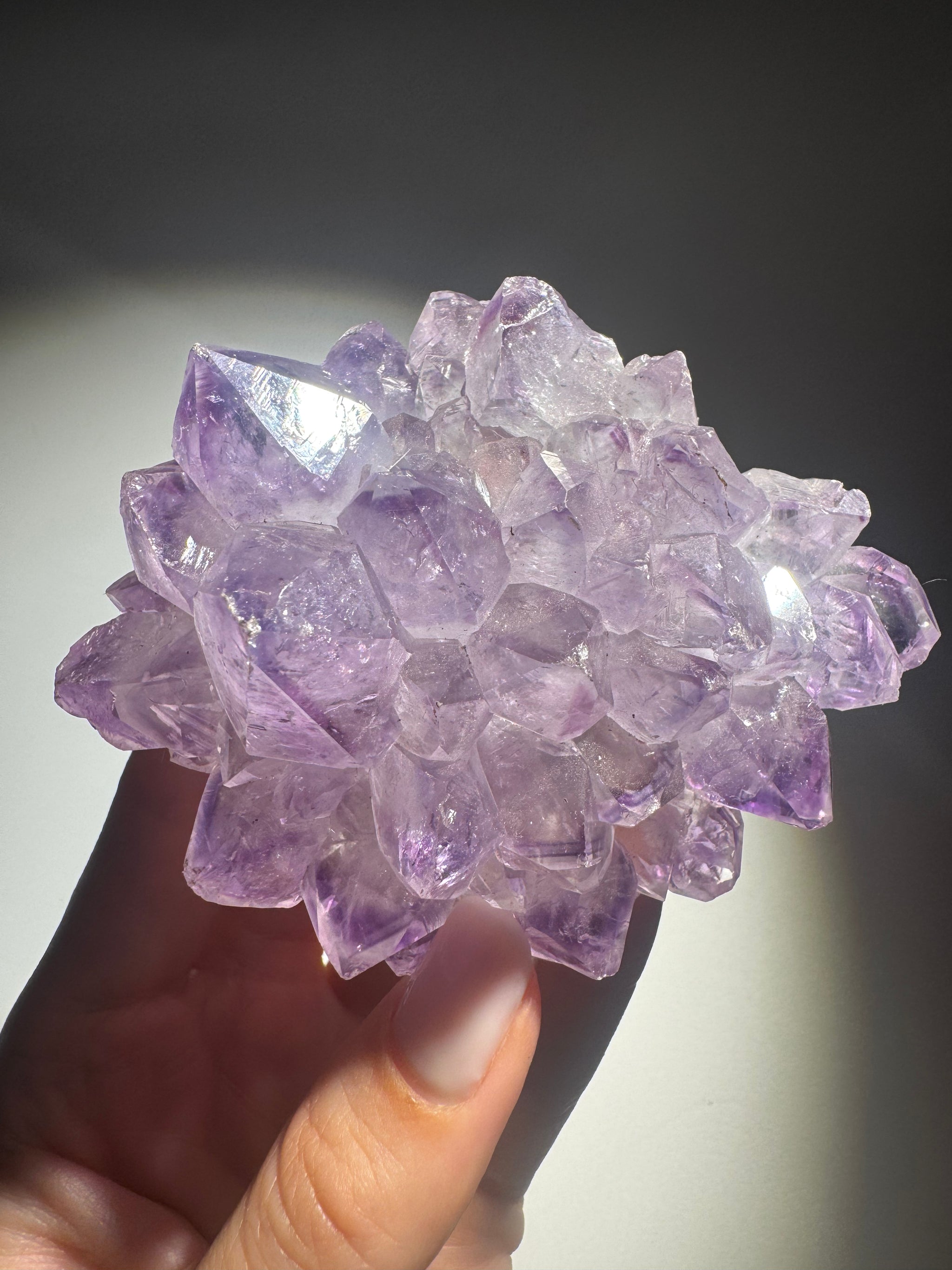 Amethyst Stalaktit Kristall aus Uruguay – feine Phantomstruktur & Blütenform