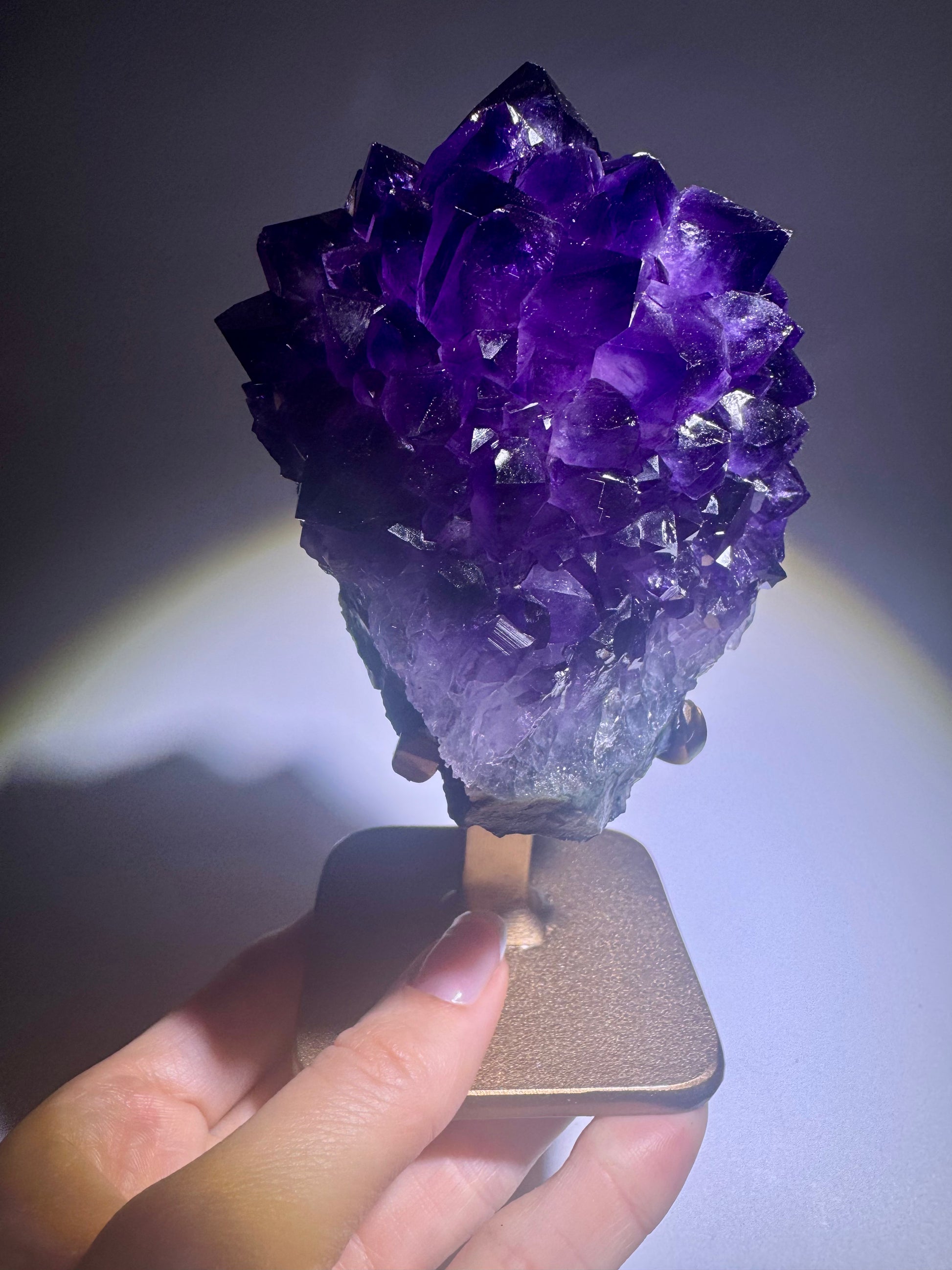 Amethystkristallblüte auf speziellem Goldständer – Unikat aus Uruguay