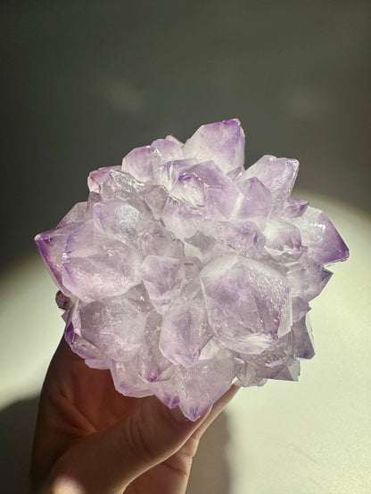 Blumenförmiger Stalaktit aus Uruguay – fliederfarbener Amethyst Edelstein mit intensiver Ausstrahlung