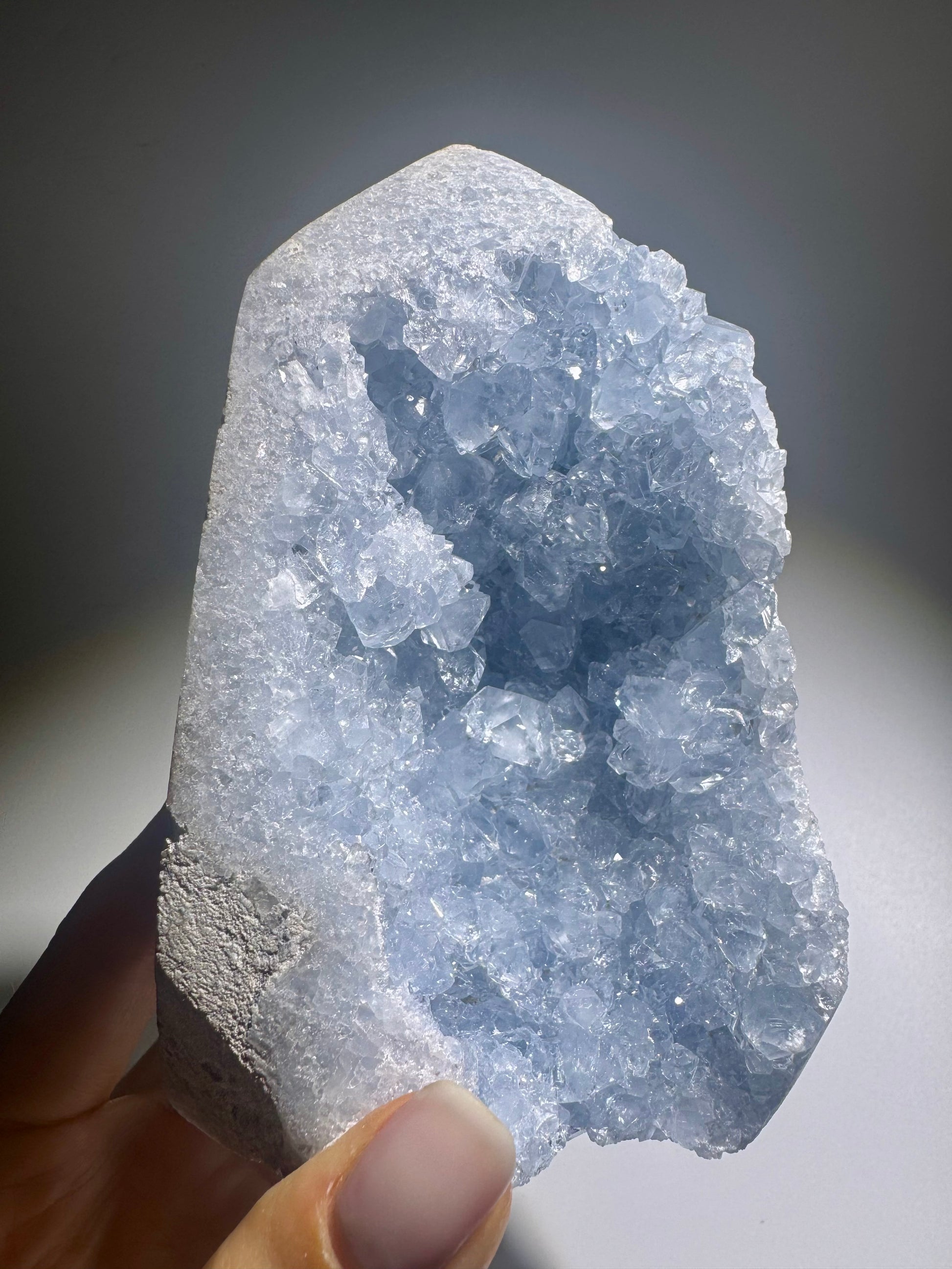 Celestin Spitze 12 cm – extra klare Kristalle in Premiumqualität aus Madagaskar