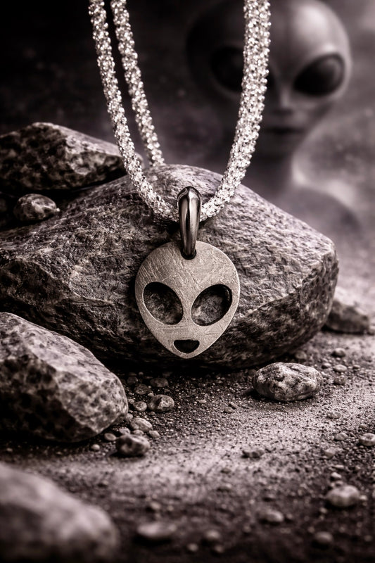 Alien Head Anhänger – Aus echtem Muonionalusta-Meteorit 👽