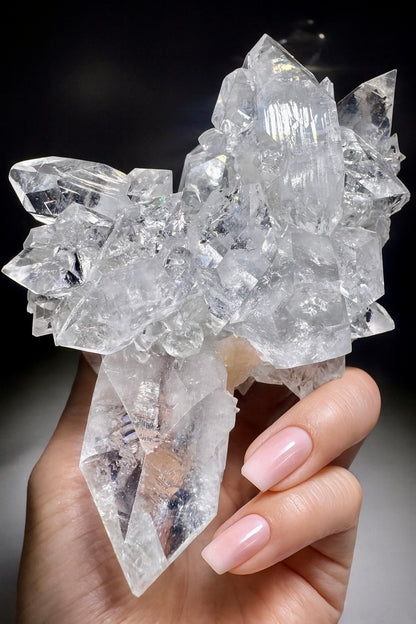 Diamond Apophyllite kaufen – Exklusives, glasklares Spezimen