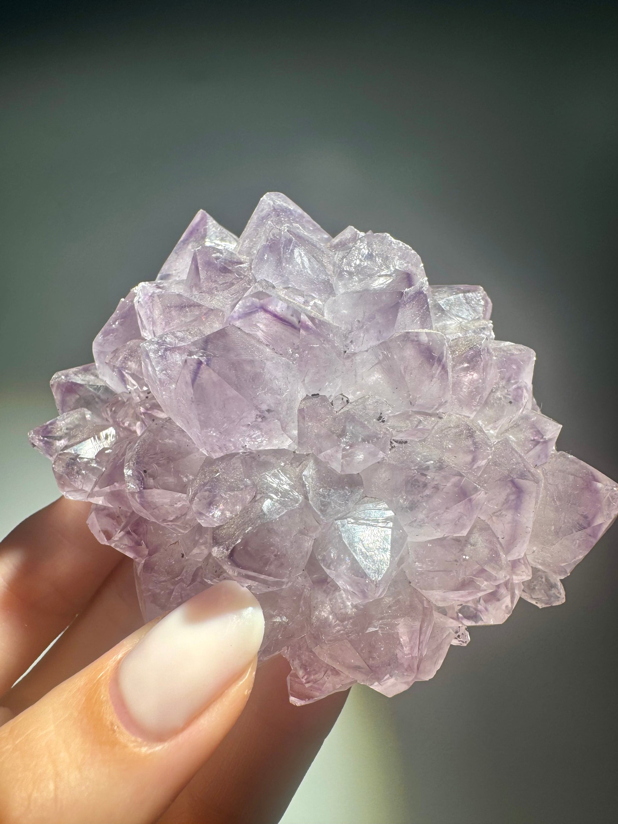 Diese beeindruckende Amethystblüte mit ca. 8,5 cm Durchmesser ist ein natürliches Meisterwerk voller Magie 💜 Die zahllosen, fliederfarbenen Spitzen mit zarten Phantomen formen eine wunderschöne, harmonische Blütenstruktur, wie sie nur selten in dieser Grösse und Qualität zu finden ist. Jede einzelne Spitze erzählt ihre eigene Geschichte – klar, kraftvoll und zugleich zart.

🌍 Entstehung:
Solche Blüten entstehen durch die langsame Kristallisation in Höhlen – an den Spitzen von Stalaktiten, die von der Deck