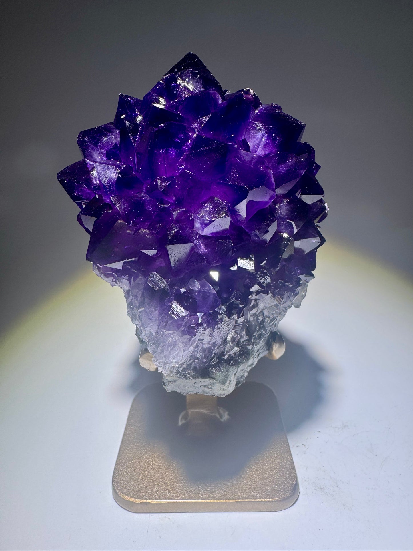 Dunkelviolette Amethystblüte aus Uruguay mit Goldständer