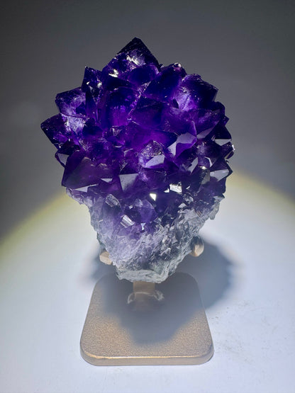 Dunkelviolette Amethystblüte aus Uruguay mit Goldständer
