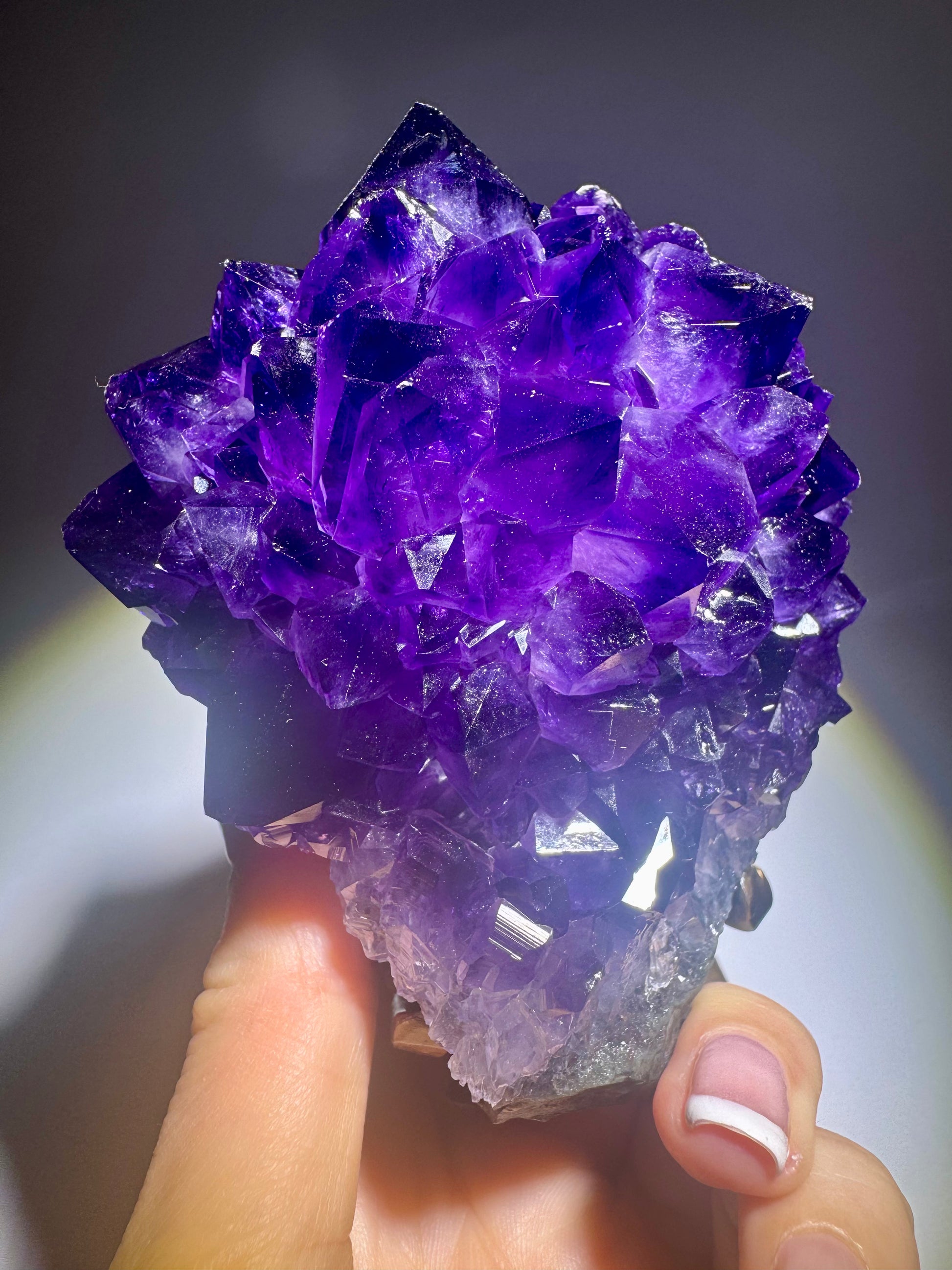 Edler Amethyst-Edelstein als Blüte mit perfekt ausgebildeten Kristallen