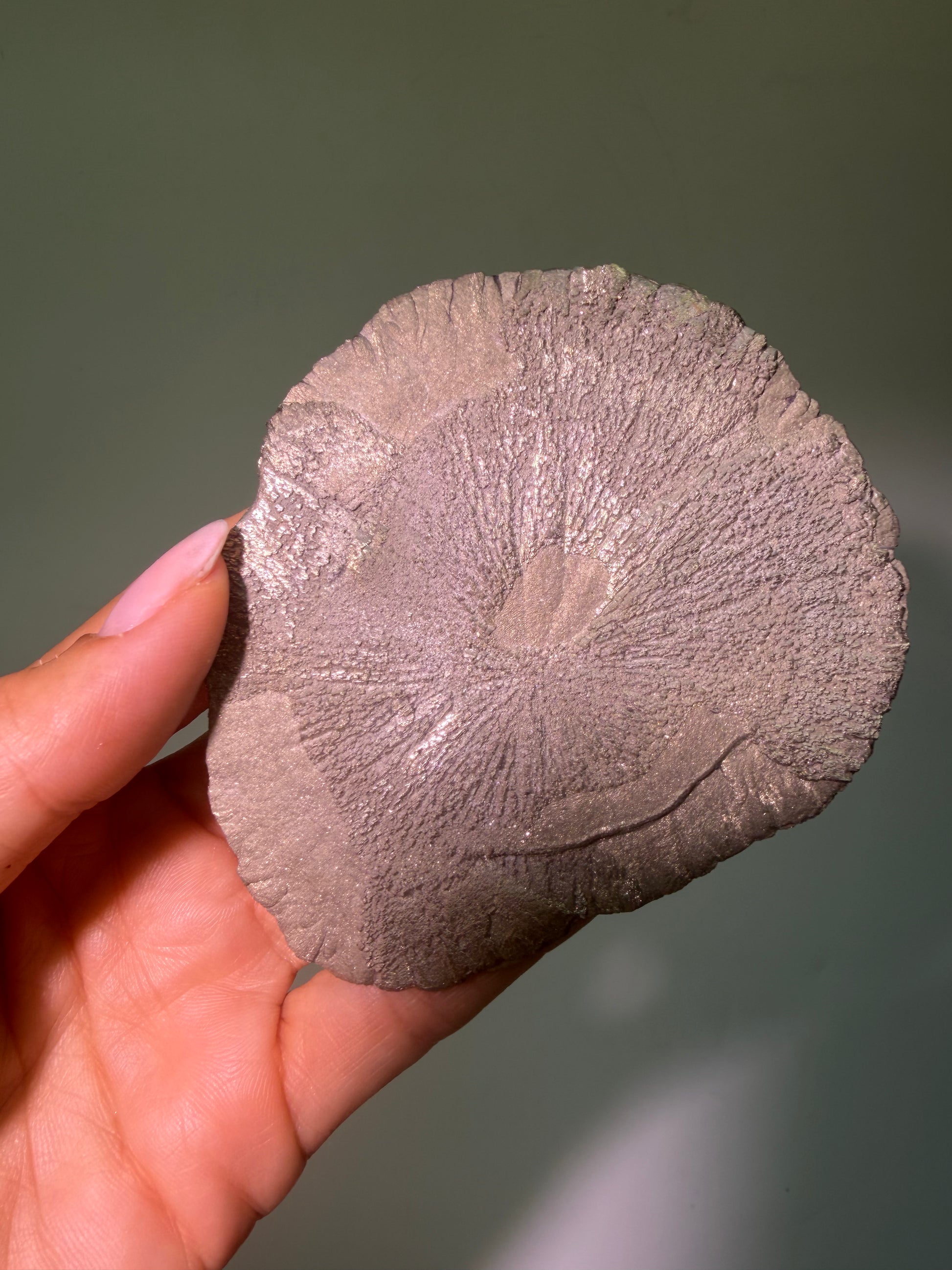 Exklusive Pyritsonne ca. 8,8 cm – Natürliche Mineralformation aus den USA