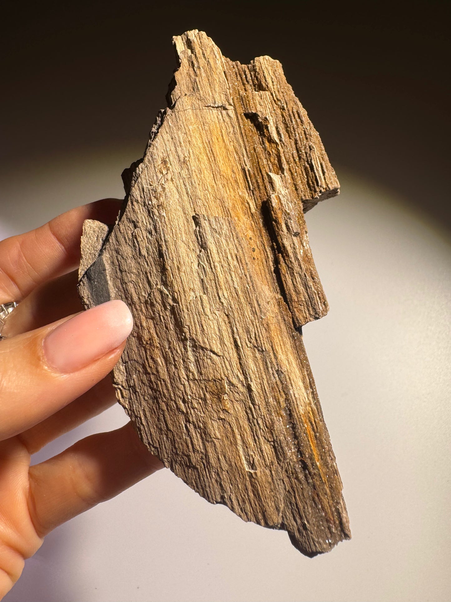 Funkelndes Feenholz 12 x 5,3 cm – Versteinertes Naturholz mit Quarzkristallen