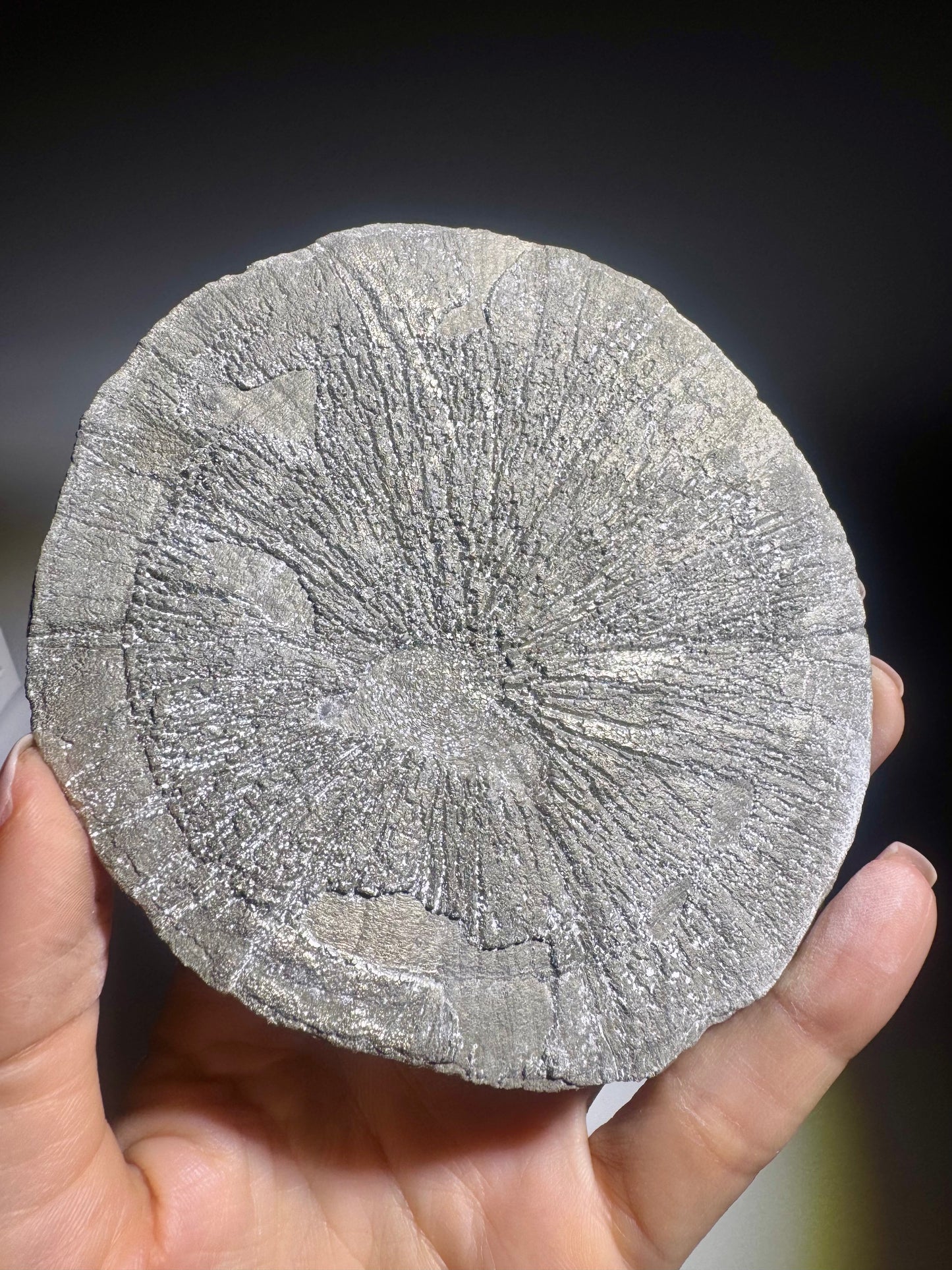 Grosse Pyritsonne 11 cm – einzigartiges Mineralunikat & Sammlerstück