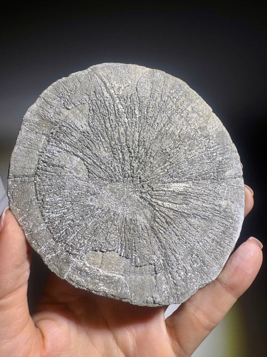 Grosse Pyritsonne 11 cm – einzigartiges Mineralunikat & Sammlerstück