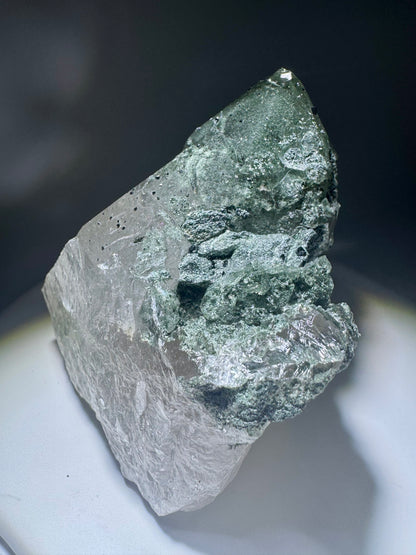 Himalaya Kristallquarz mit Chlorit-Phantom – 9 x 7.5 cm, 384 g – Museumsstück