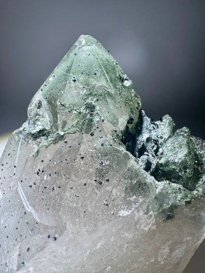 Himalaya Kristallquarz mit Chlorit-Phantom – 9 x 7.5 cm, 384 g – Museumsstück
