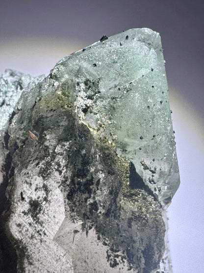 Himalaya Kristallquarz mit Chlorit-Phantom – 9 x 7.5 cm, 384 g – Museumsstück