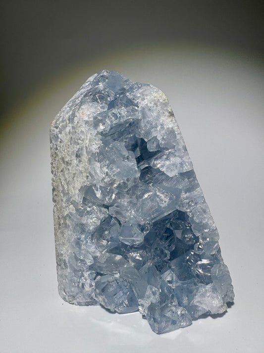 Celestin Spitze 9.6 cm – extra klare Kristalle in Premiumqualität aus Madagaskar