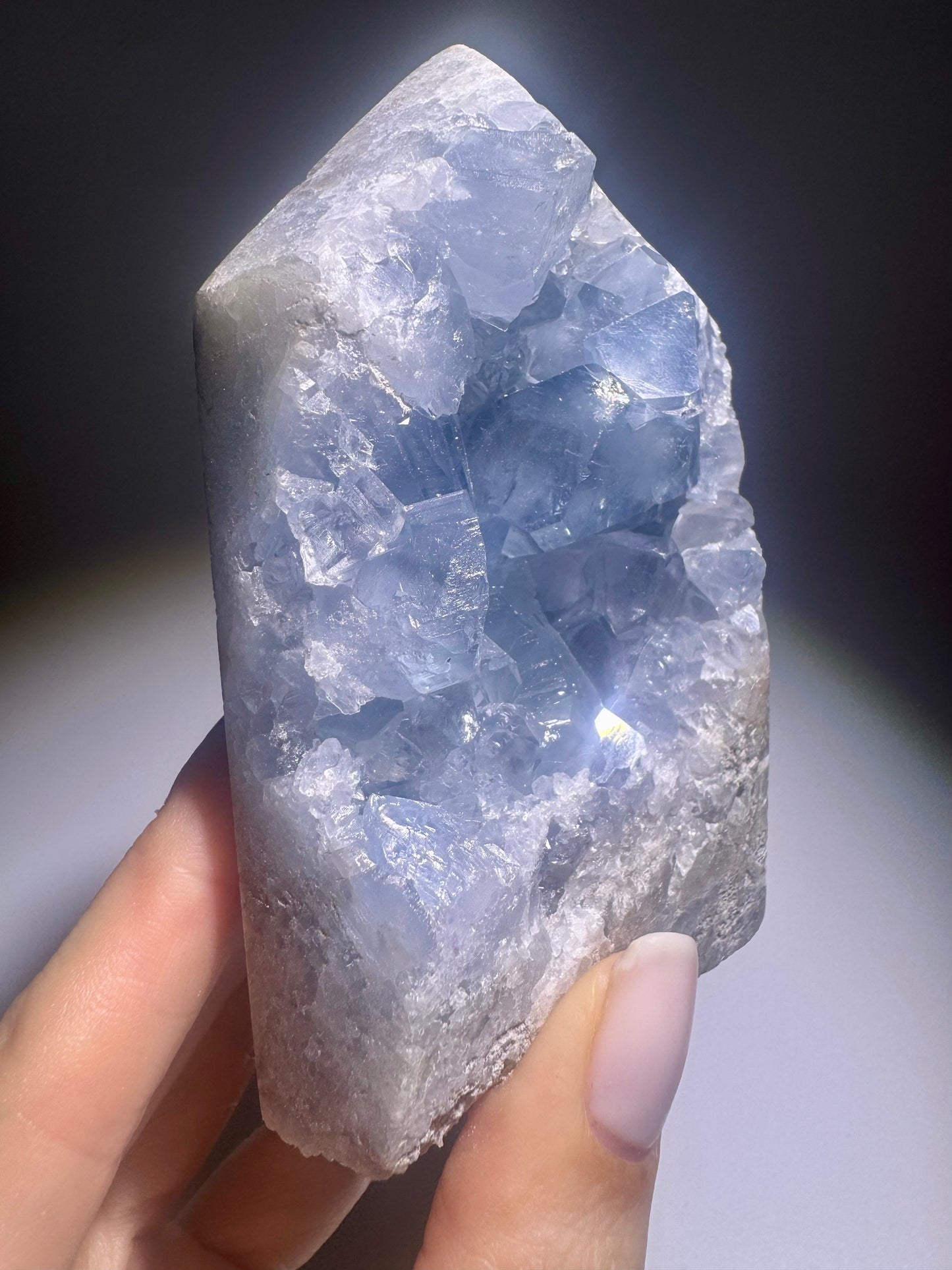 Celestin Spitze 9.9cm – extra klare Kristalle in Premiumqualität aus Madagaskar