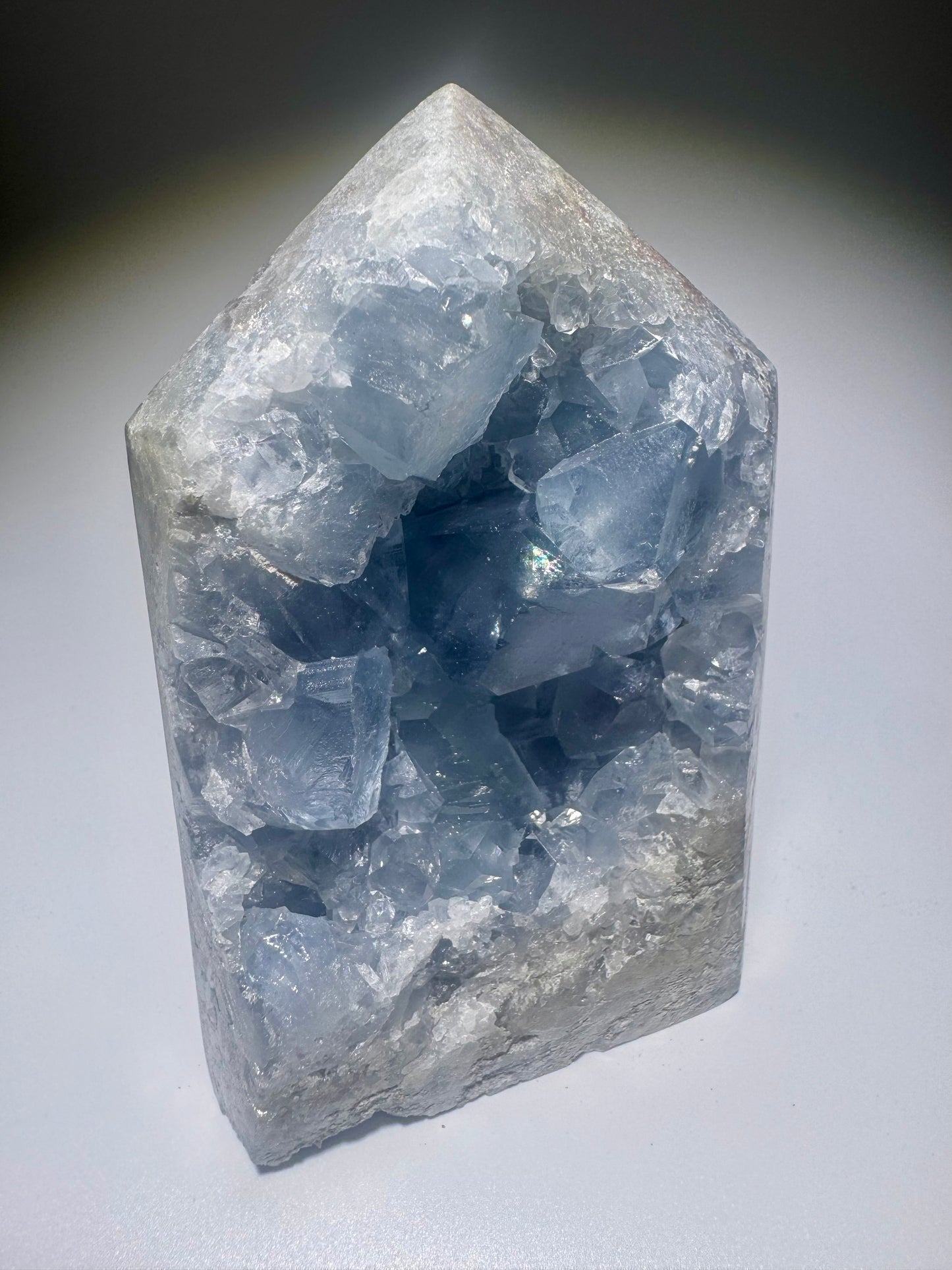 Celestin Spitze 9.9cm – extra klare Kristalle in Premiumqualität aus Madagaskar