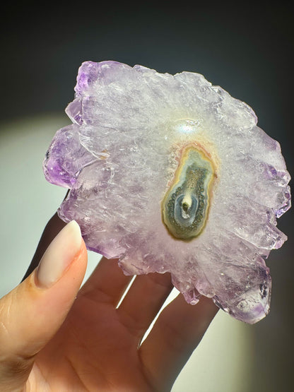 Amethyst Stalaktit Blüte 9,5 cm aus Uruguay