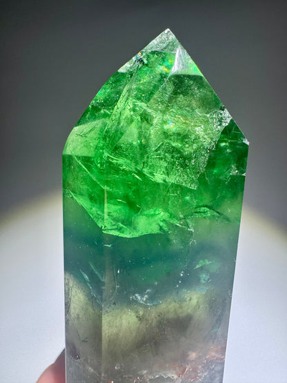 Fluorit Spitze grün klar | Extra Qualität aus Brasilien | Regenbogenfarben | 9,7 cm – UNIQUE CRYSTALS