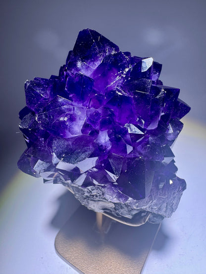 Amethyst Blüte / Blume Uruguay 14,5 cm mit Goldständer | Dunkelviolette Spitzen | 748 g – UNIQUECRYSTALS