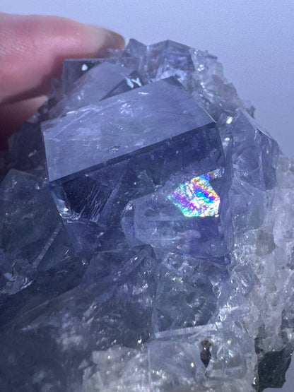 Magnifique fluorite de verre - 6,5 cm, 217 g