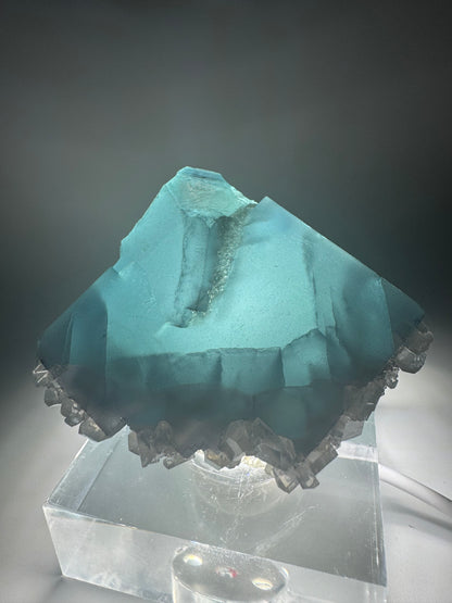 Belle fluorite - 212 g