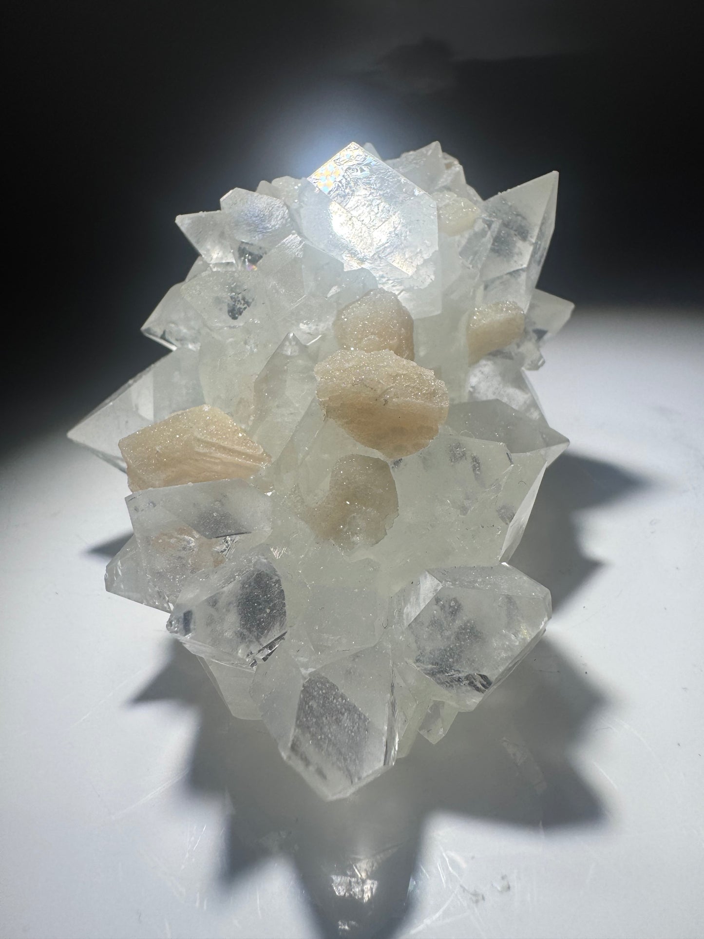 Apophyllit mit Desmin 9,5 cm – Museumsqualität & kristalline Schönheit 💎