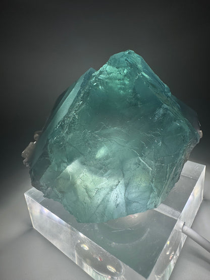 Belle fluorite - 212 g