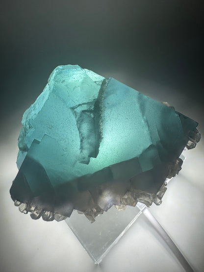 Belle fluorite - 212 g