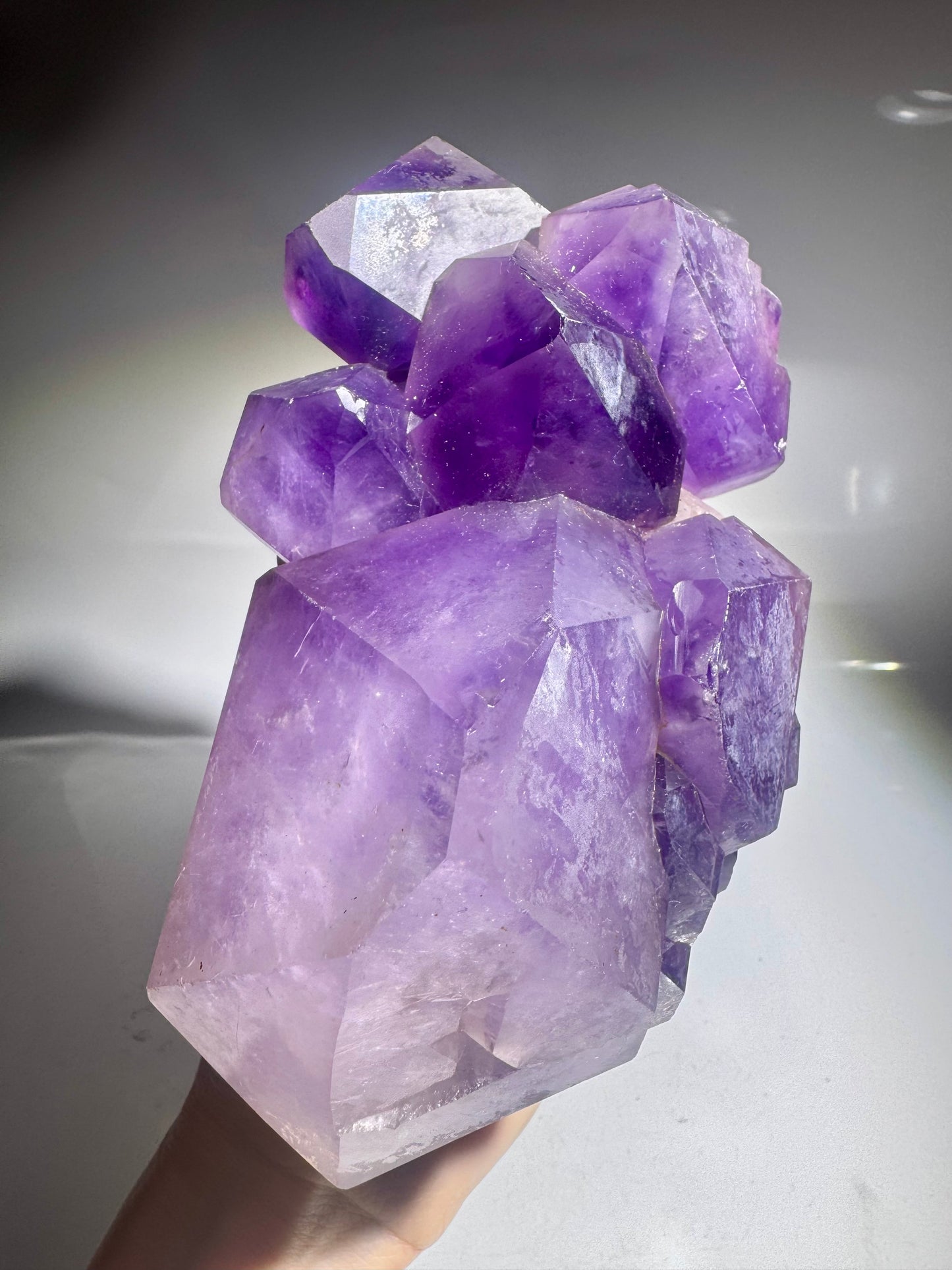 Exklusiver Kongo-Amethyst 17 cm – Kraftvolle Spitzen in Premium Qualität 💜