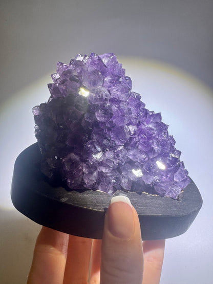 Tiefviolette Amethystblüte auf Holzständer
