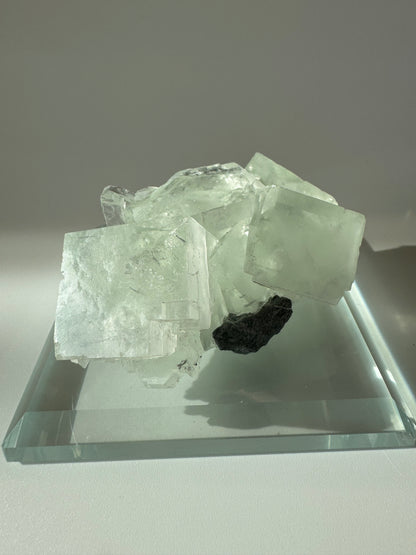 Mintgrüner Glas-Fluorit – 6.75 cm, 159 g, klarer Edelstein in seltener Qualität